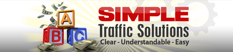 Simple Traffic Solutions Members